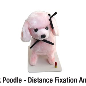 Pink Poodle - Distance Fixation Animal