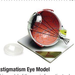 Astigmatism Eye Model