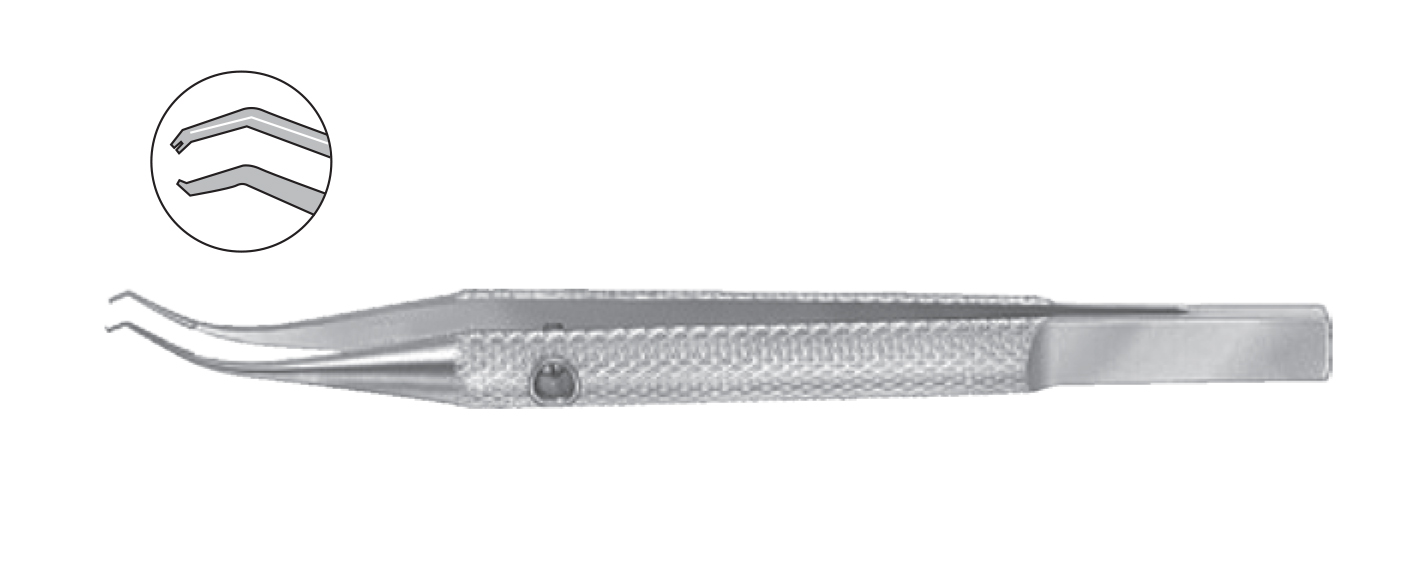 D50-2900