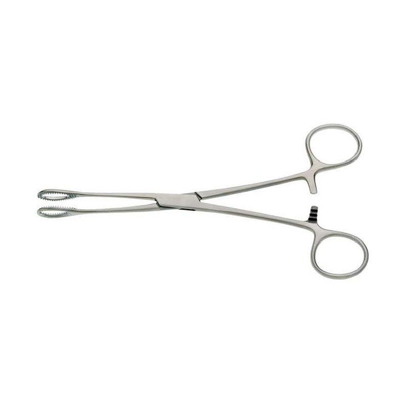 Foerster Sponge Holding