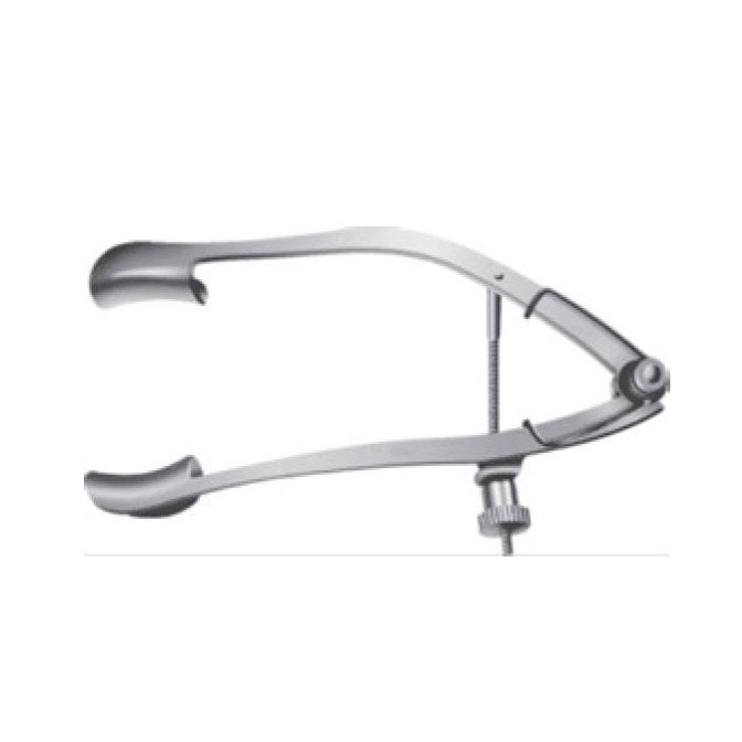 Lancaster Speculum