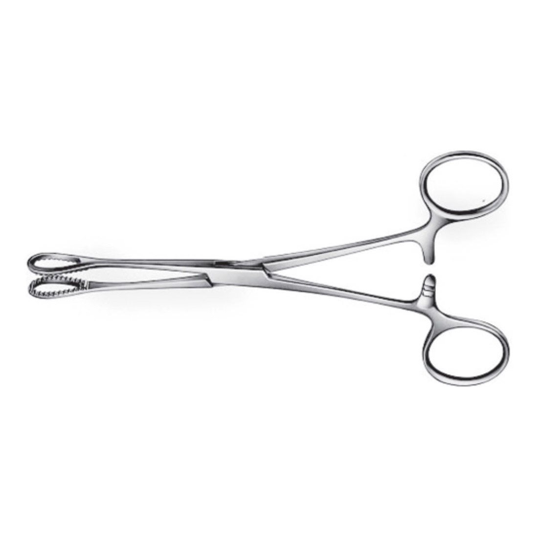 Daud Jee Sponge Forceps