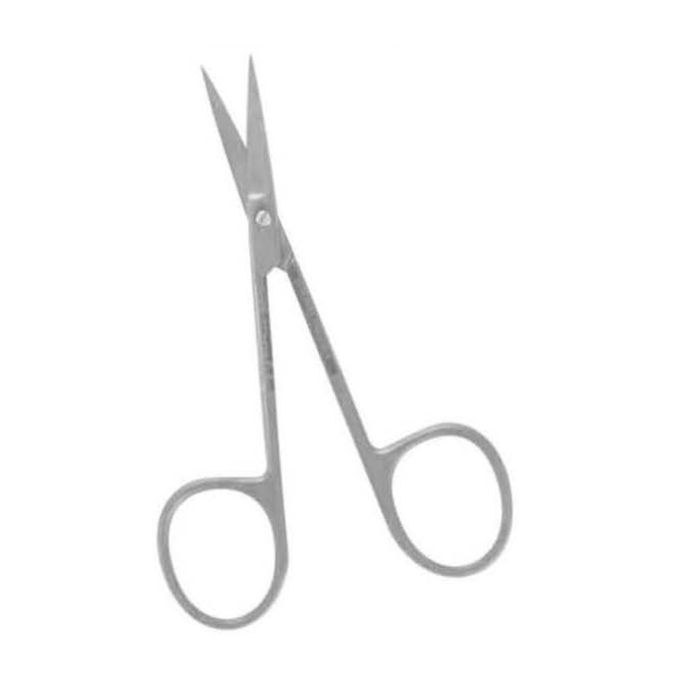 Fine STAINLESS STEEL Scissors, Bonn