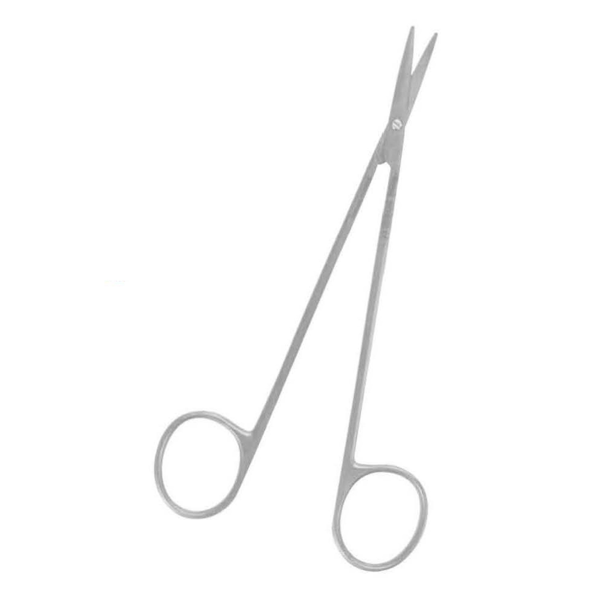 Delicate Scissors, Salzburg