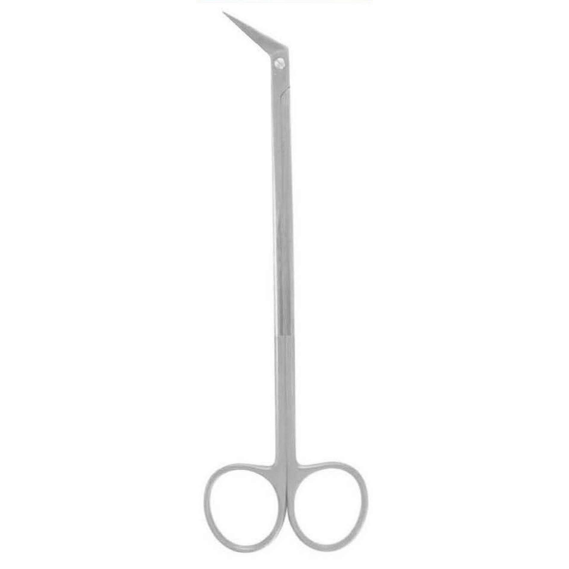 Ringhandle Scissors, Potts-Smith