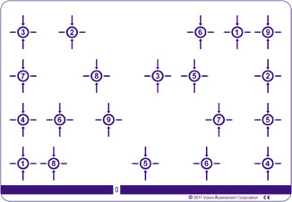 Large Saccadic Polarized Variable Vectograph