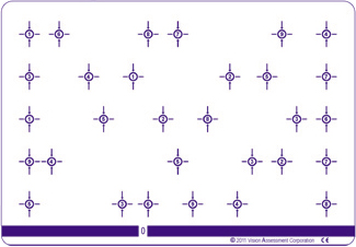 Small Saccadic Polarized Variable Vectograph