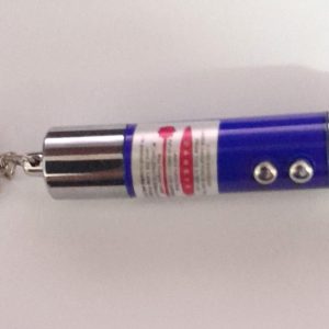 Laser Pointer Keychain