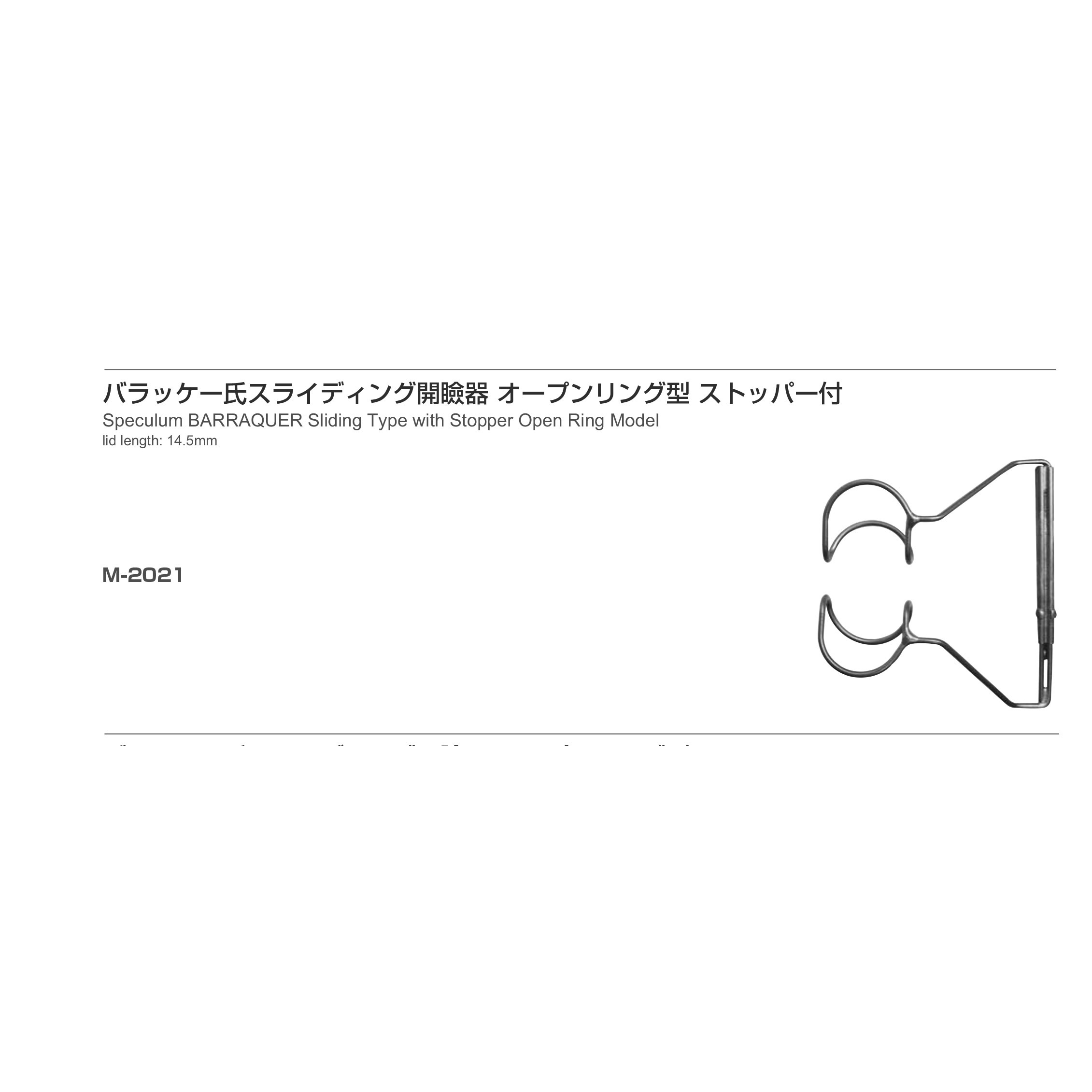 Inami M-2021