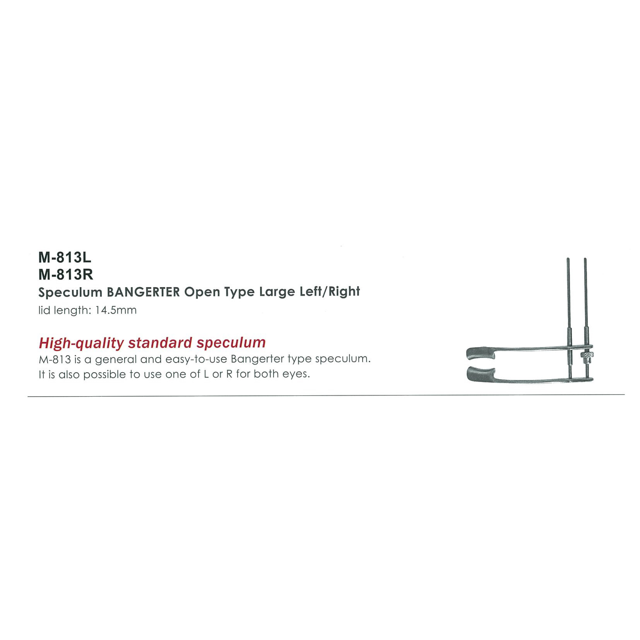 Inami M-813L