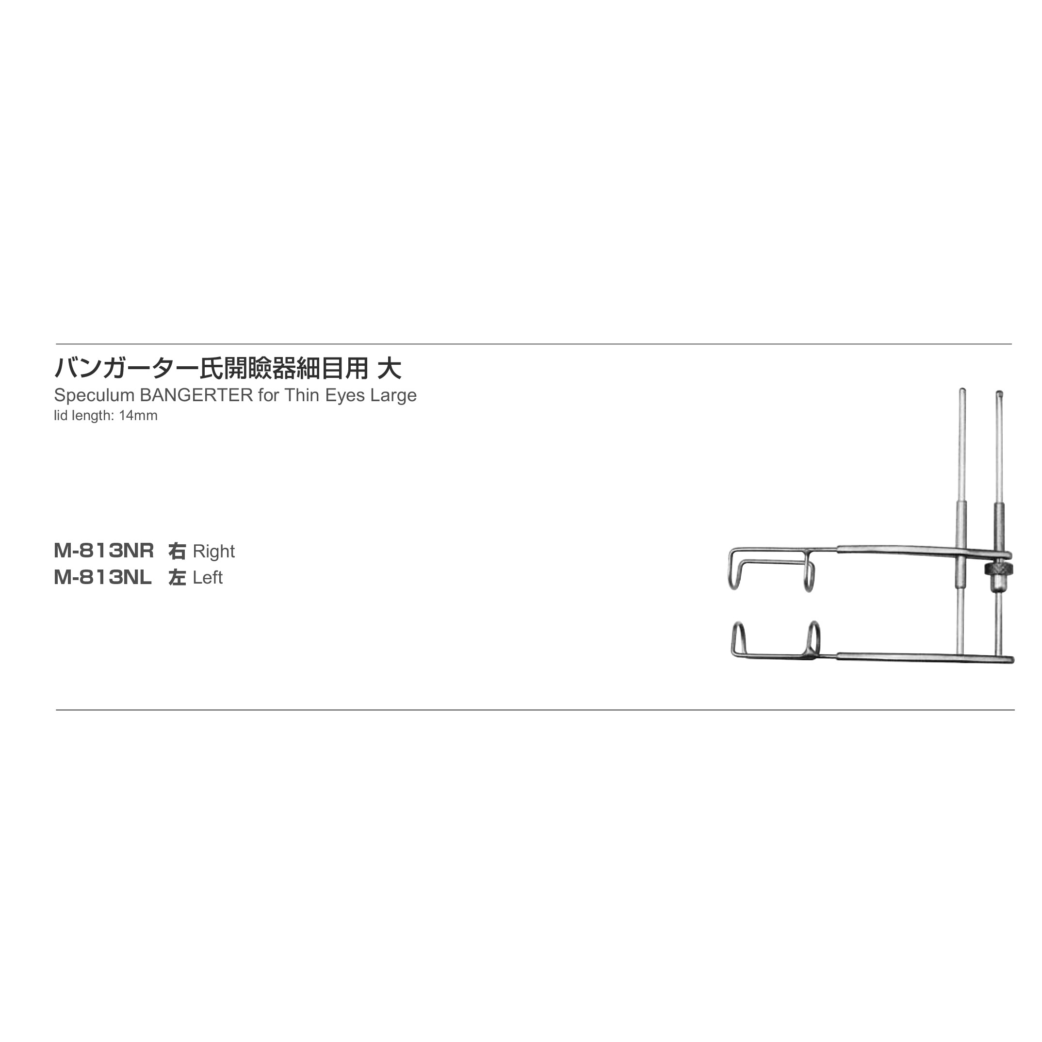 Inami M-813NL