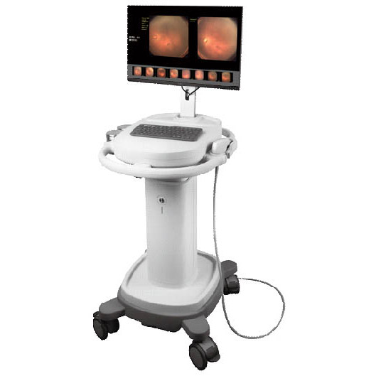 Euroscanner SW-8000 Ophthalmic Wide Field Imaging System